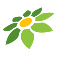 LINK SLOTPRAGMATIC